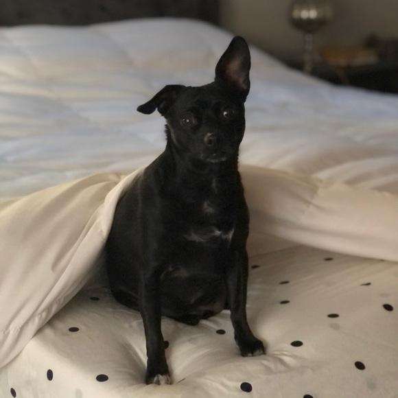 Meet Your Seller! - Picture 2 of 4